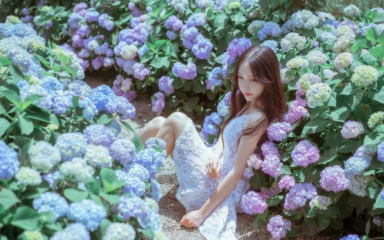 上海现存最早地方志——《云间志》影印本首发